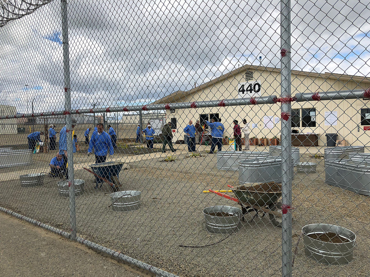 Avenal State Prison garden